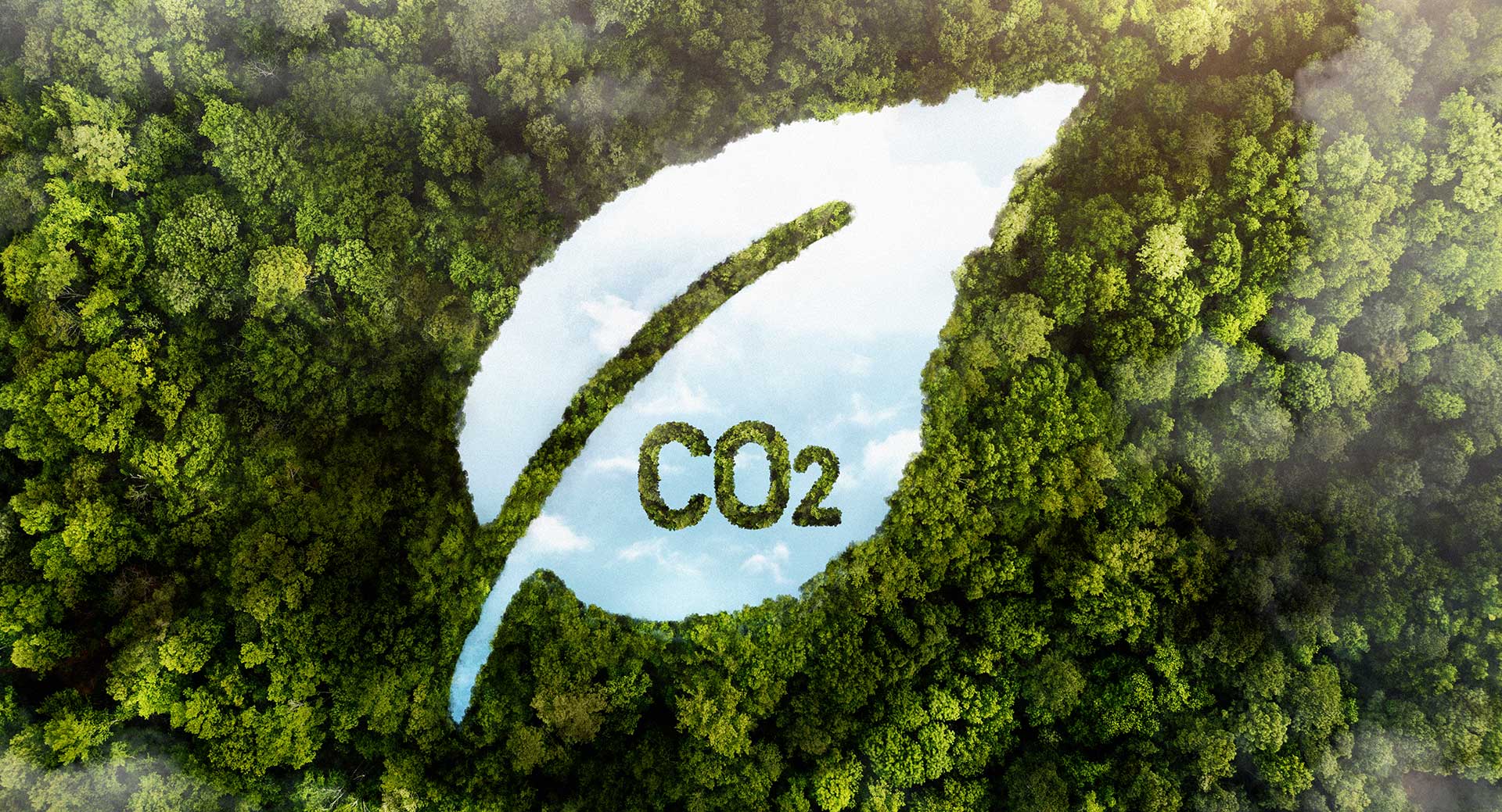 可持續(xù)發(fā)展 雙碳戰(zhàn)略